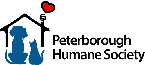 raffle logo